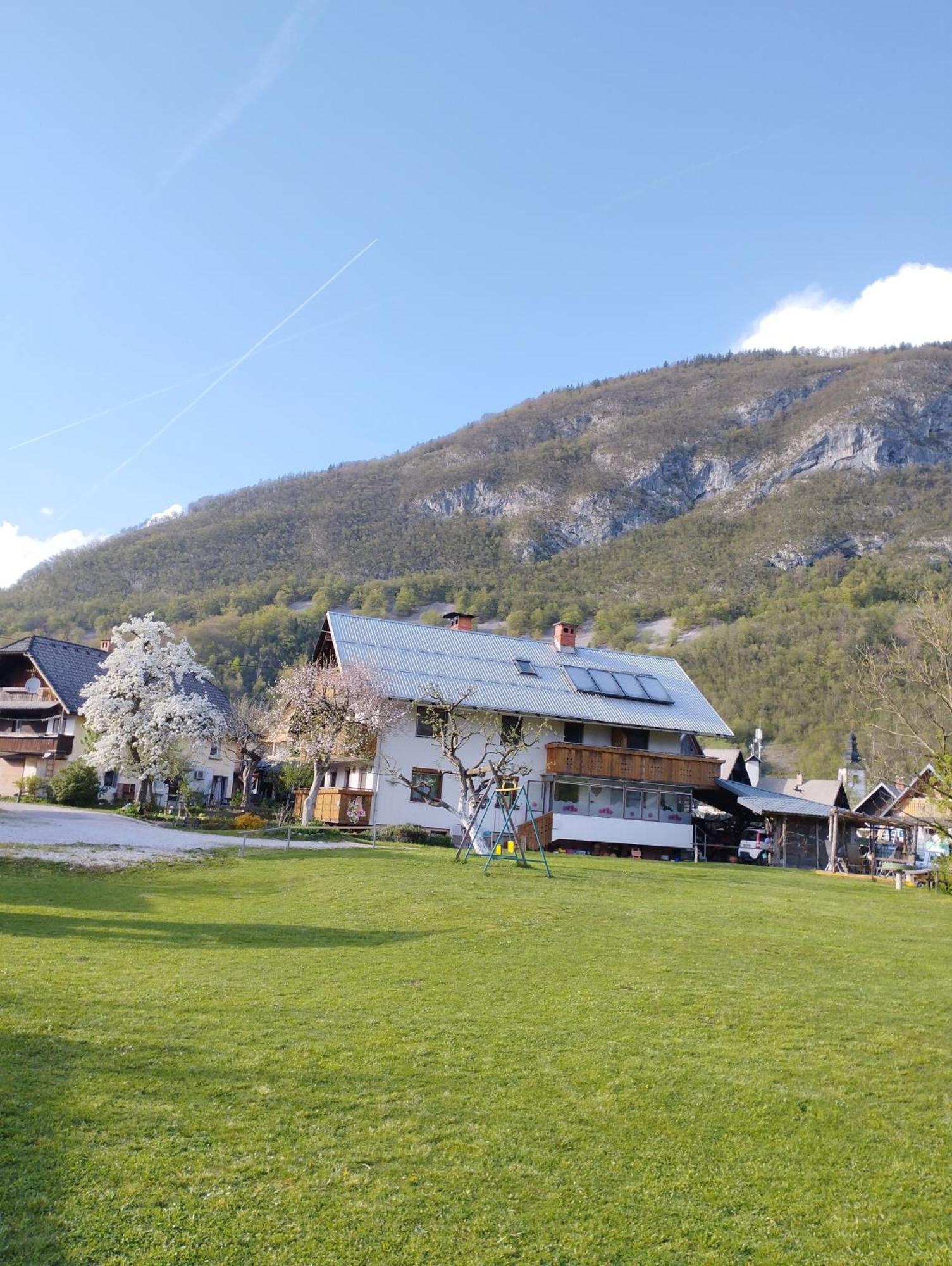 Apartmaji Verica Ceklin Bohinj Exterior foto